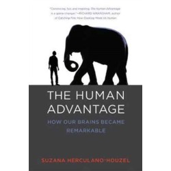 The Human Advantage: How Our Brains Became Remarkable