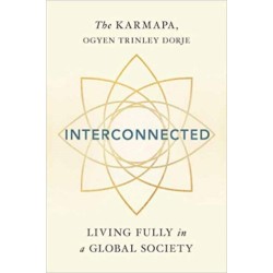 Interconnected: Living Wisely in a Global Society