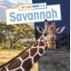 Day and Night in the Savannah