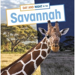 Day and Night in the Savannah