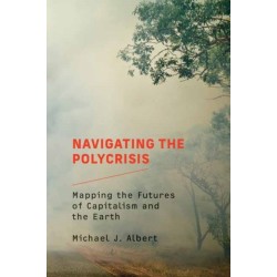 Navigating the Polycrisis: Mapping the Futures of Capitalism and the Earth