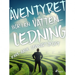 Äventyret bor i en vattenledning