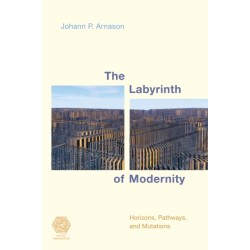 The Labyrinth of Modernity: Horizons, Pathways and Mutations