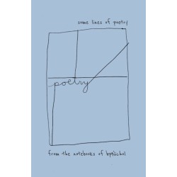 Some Lines of Poetry: From the Notebooks of bpNichol