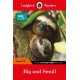 Ladybird Readers Level 2 - BBC Earth - Big and Small (ELT Graded Reader)