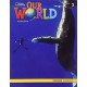 Our World 2: Grammar Workbook