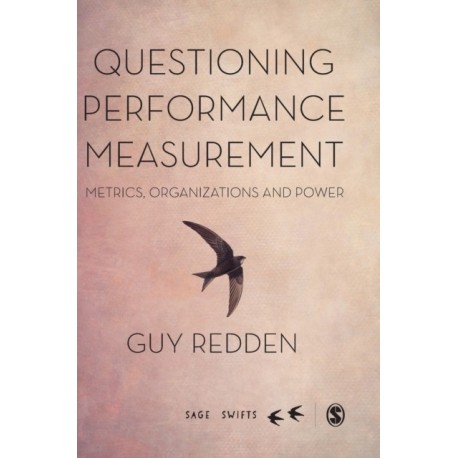 Questioning Performance Measurement: Metrics, Organizations and Power