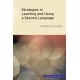Strategies in Learning and Using a Second Language