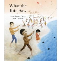What the Kite Saw