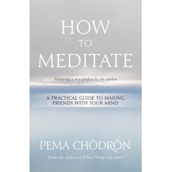 How to Meditate: A Practical Guide to Making Friends with Your Mind