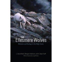 The Ellesmere Wolves: Behavior and Ecology in the High Arctic