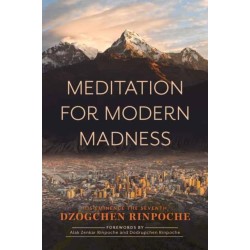 Meditation for Modern Madness