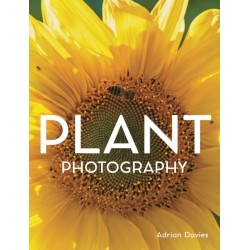 Plant Photography