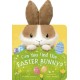 Can You Find the Easter Bunny?: With flaps to lift!