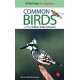 Common Birds of the Indian Subcontinent