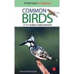 Common Birds of the Indian Subcontinent