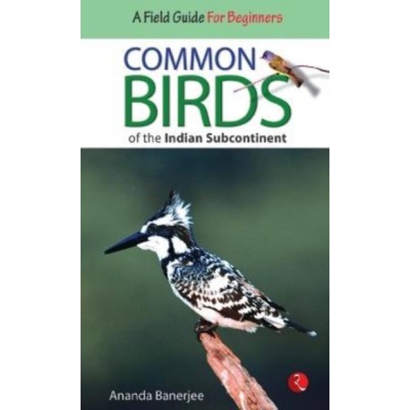 Common Birds of the Indian Subcontinent