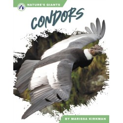 Condors