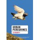 Urban Peregrines