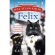 Full Steam Ahead, Felix: Adventures of a famous station cat and her kitten apprentice