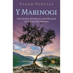 Pagan Portals  Y Mabinogi: Exploring the Magic and Wisdom of Welsh Mythology