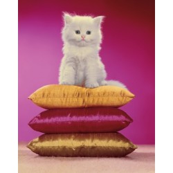 Chromotherapia: Feel-Good Color Photography