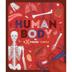 Human Body