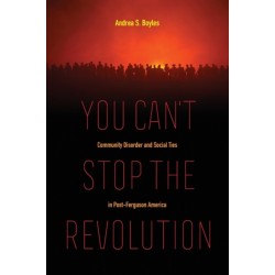 You Can't Stop the Revolution: Community Disorder and Social Ties in Post-Ferguson America