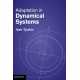 Adaptation in Dynamical Systems