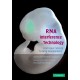 RNA Interference Technology: From Basic Science to Drug Development