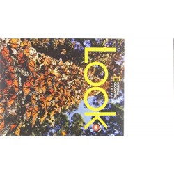 Look 1: Combo Split B