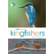 RSPB Spotlight Kingfishers