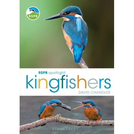 RSPB Spotlight Kingfishers