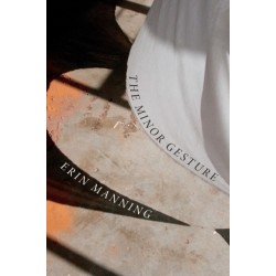 The Minor Gesture