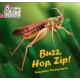 Buzz, Hop, Zip!: Phase 2 Set 5