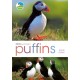 RSPB Spotlight: Puffins