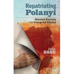 Repatriating Polanyi: Market Society in the Visegrad States