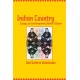 Indian Country: Essays on Contemporary Native Culture