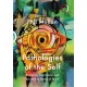 Pathologies of the Self: Exploring Narcissistic and Borderline States of Mind