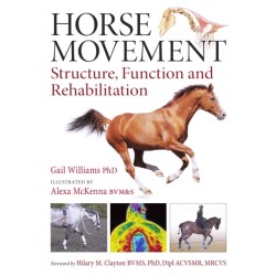 Horse Movement: Structure, Function and Rehabilitation