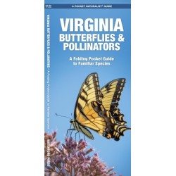 Virginia Butterflies & Pollinators: A Folding Pocket Guide to Familiar Species
