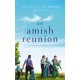 An Amish Reunion: Three Stories
