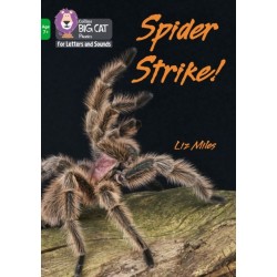 Spider Strike!: Band 05/Green