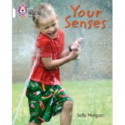 Your Senses: Band 10/White