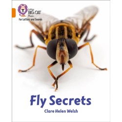 Fly Secrets: Band 06/Orange