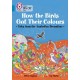 How the Birds Got Their Colours: Tales from the Australian Dreamtime: Band 13/Topaz
