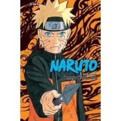Naruto (3-in-1 Edition), Vol. 14: Includes vols. 40, 41 & 42