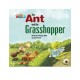 Our World Readers: The Ant and the Grasshopper: British English