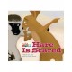 Our World Readers: Hare Is Scared: American English