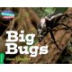 Cambridge Reading Adventures Big Bugs Green Band